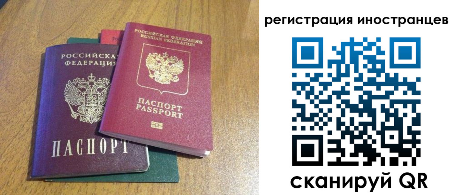 временная регистрация поиск в Белой Калитве